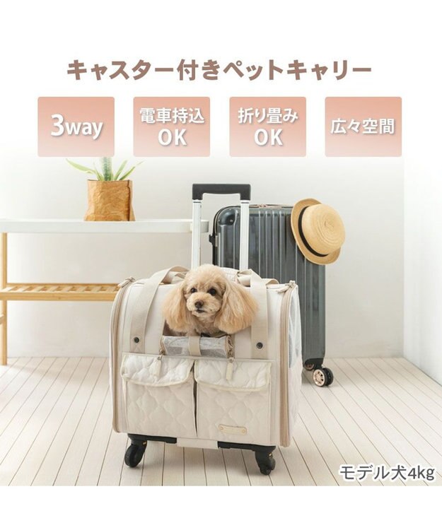 ペットパラダイス キャスター付き ナチュラル 折り畳みキャリー / PET