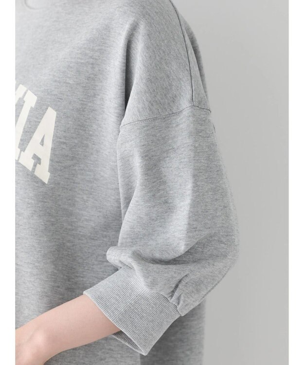 AMERICAN HOLIC ミニ裏毛ロゴスウェット2 Light Gray Mixture