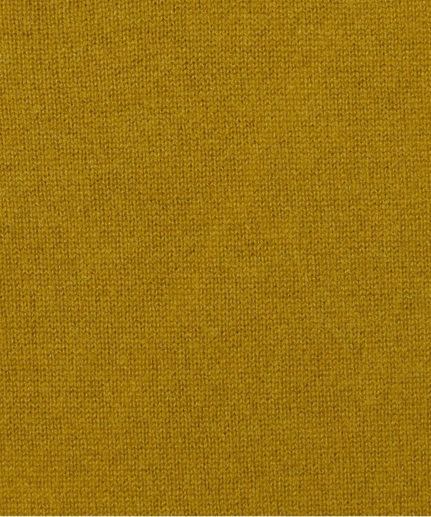 JOSEPH 【洗える】ライトピュアカシミヤニット Amber