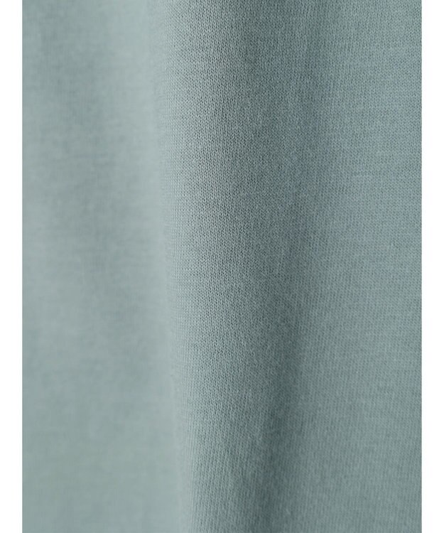 Green Parks ■Ｃｈａｍｐｉｏｎ　ショートスリーブＴシャツ Gray