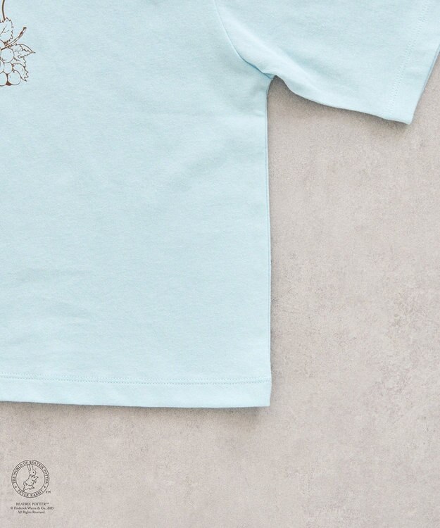 earth music&ecology Ｐｅｔｅｒ　Ｒａｂｂｉｔ?／ｅａｒｔｈ　フルーツＴ Sax