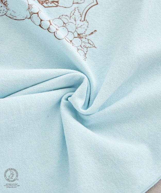 earth music&ecology Ｐｅｔｅｒ　Ｒａｂｂｉｔ?／ｅａｒｔｈ　フルーツＴ Sax