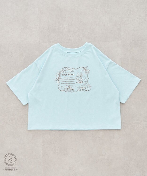 earth music&ecology Ｐｅｔｅｒ　Ｒａｂｂｉｔ?／ｅａｒｔｈ　フルーツＴ Sax