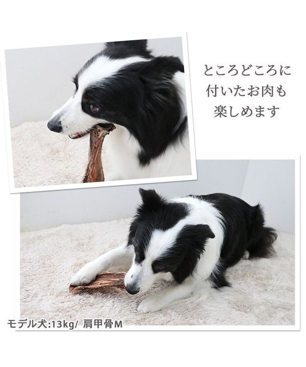 PET PARADISE 鹿 肩甲骨 デンタルおやつ Mサイズ×2本 純国産 鹿 肩甲骨