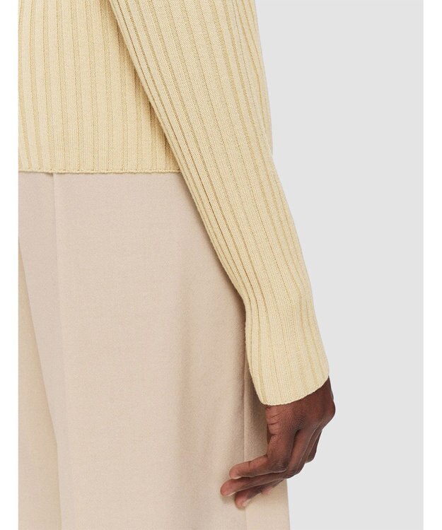 JOSEPH 【洗える】シルクブレンド　ハイネックニット Champagne