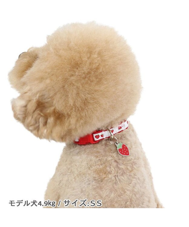 PET PARADISE ペットパラダイス 苺チャーム付き首輪 Ｓ レッド