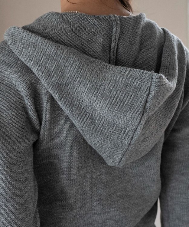 WEGO 【新色追加】別注USPOLOWZIPニットPK グレー