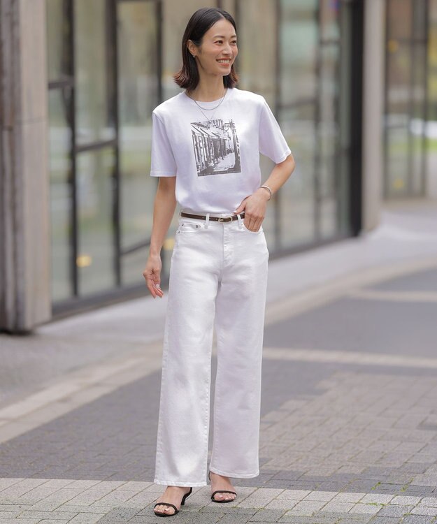 J.PRESS LADIES L プリント Ｔシャツ ホワイト系
