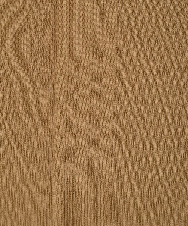 CRAFT STANDARD BOUTIQUE 半袖２ｗａｙリブポロニット Beige