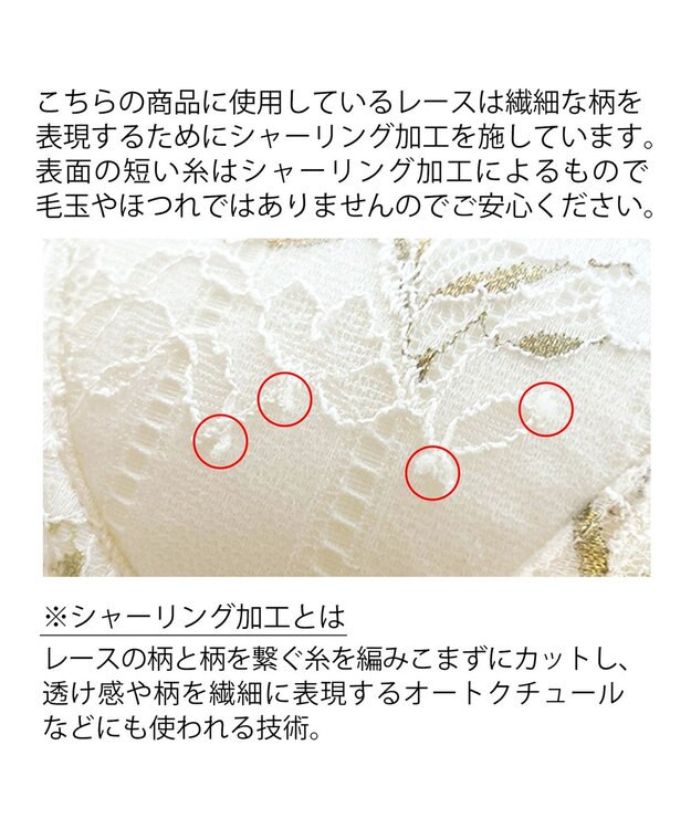 BRADELIS New York 【BRADELIS New York】ローズステップ２ブラ23S1 育乳補整 ふんわり寄せて脇まですっきりする補整ブラ ホワイト