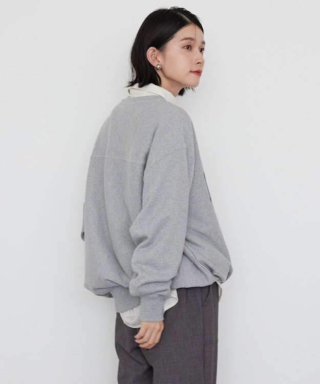 AMERICAN HOLIC ＮＥＢＲＡＳＫＡロゴプリントスウェット③ Light Gray Mixture
