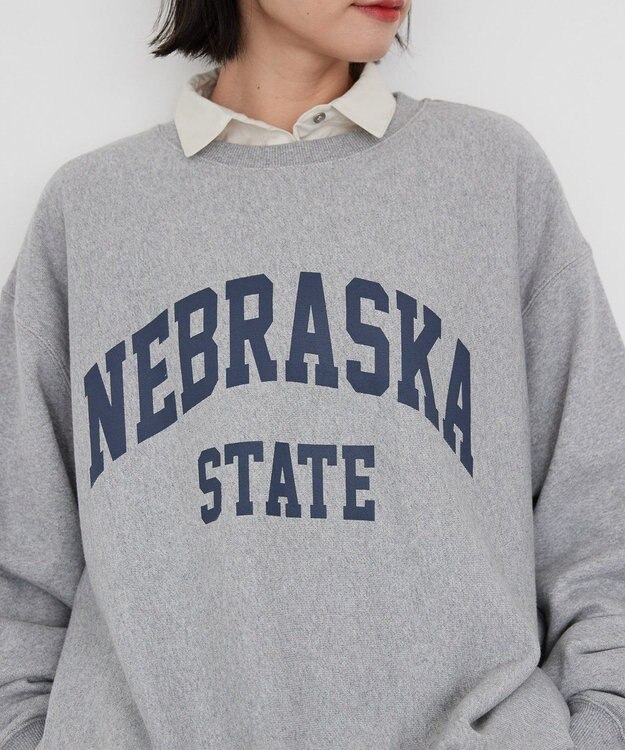 AMERICAN HOLIC ＮＥＢＲＡＳＫＡロゴプリントスウェット③ Light Gray Mixture