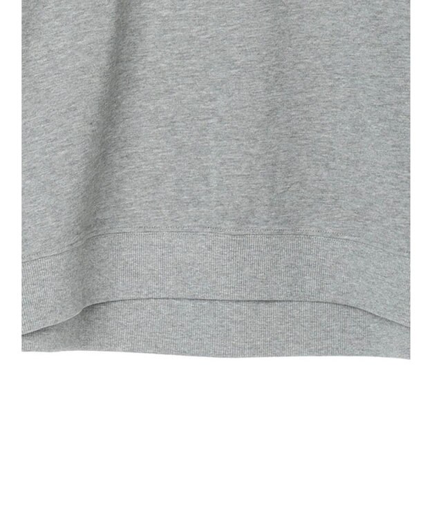 AMERICAN HOLIC ミニ裏毛ロゴスウェット2 Light Gray Mixture