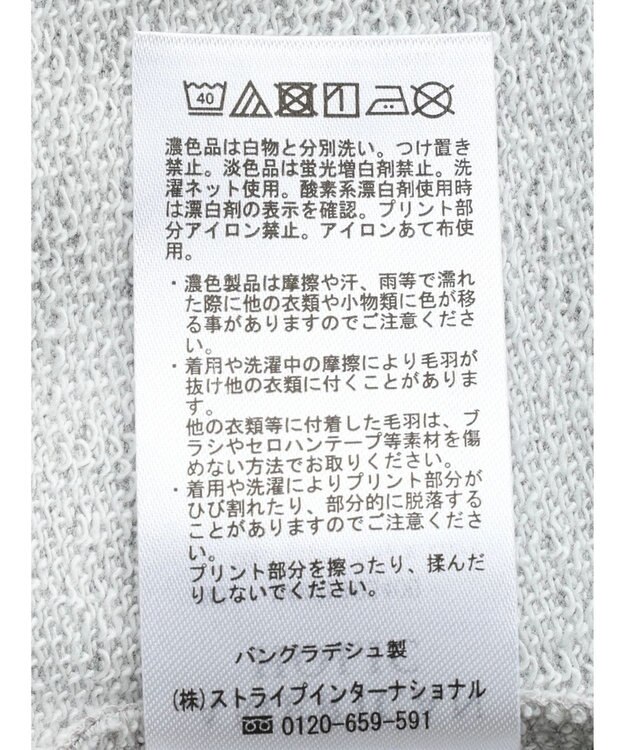 AMERICAN HOLIC ミニ裏毛ロゴスウェット2 Light Gray Mixture