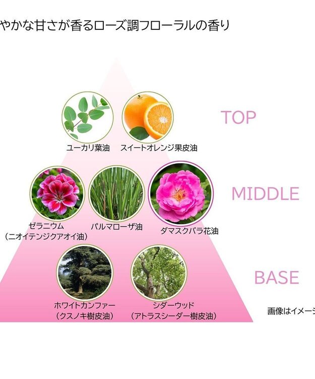 Chacott Cosmetics チャコット フィニッシングキープミスト -