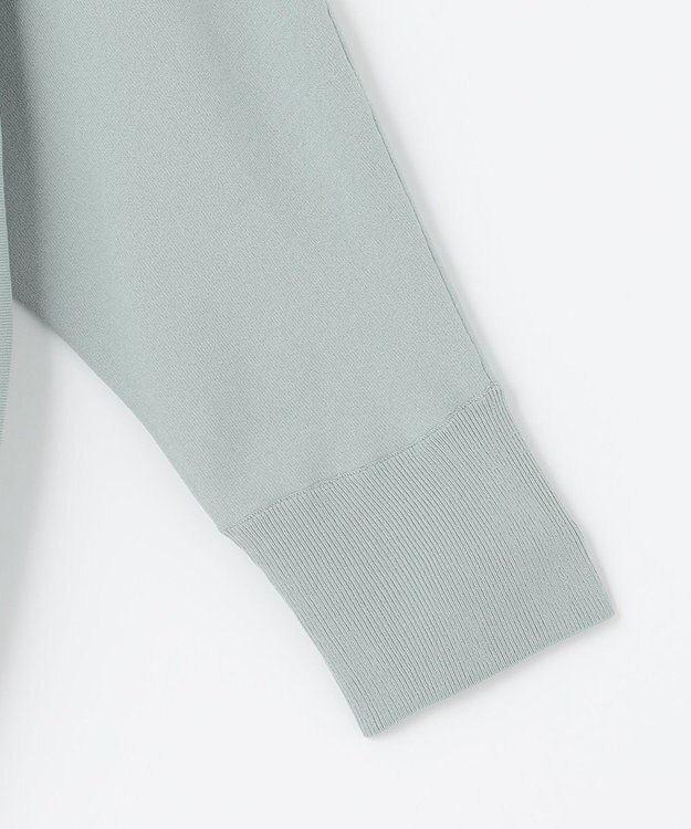 J.PRESS LADIES S 【洗える】 レーヨンエリートストレッチ ドルマンスリーブ ニット ライトグリーン系