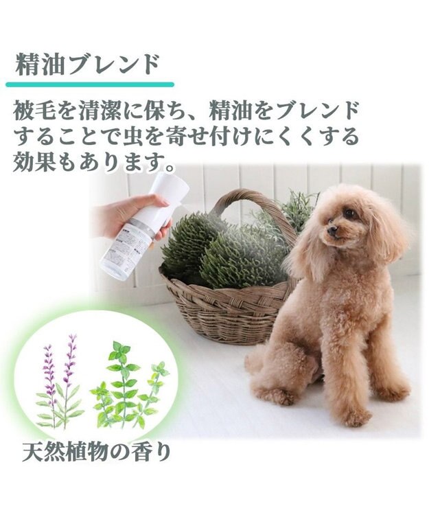 PET PARADISE モバイルシャワー 詰め替え 300ｍＬフローラルグリーンの香り -