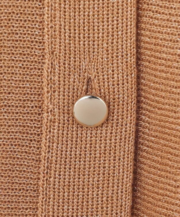 23区 【先行予約】シャイニーシアー ドルマン ニット キャメル系