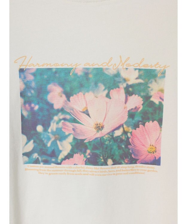 earth music&ecology Ｆｌｏｗｅｒ　グラフィックロンＴ A