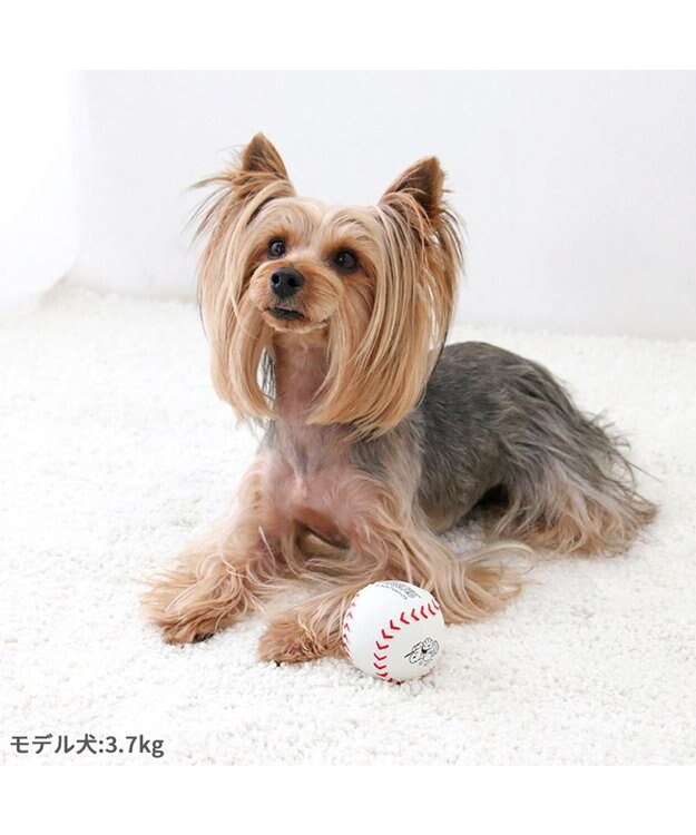 PET PARADISE スヌーピー 野球 ラテックストイ 小型犬 超小型犬 ホワイト