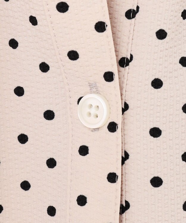 23区 S 【WEB&一部店舗限定/洗える】ドットプリント サッカー ブラウス ベージュ系