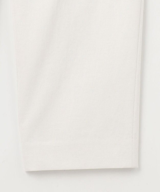 J.PRESS LADIES L 【洗える・接触冷感・UVケア・吸水速乾・防透け】麻シェルドライ テーパード パンツ ナチュラル系