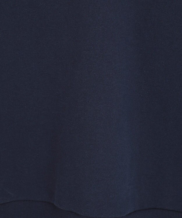 AMERICAN HOLIC カレッジロゴクラックプリント裏毛プルオーバー Navy