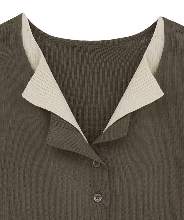 Green Parks ・Ｐｅｔｉｔ　Ｆｌｅｕｒ　バイカラーレイヤードニット Brown