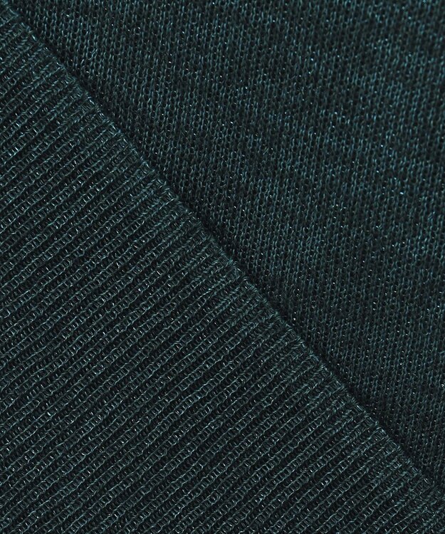 ICB 【洗える】ラメシアー モックネックニット パイングリーン系