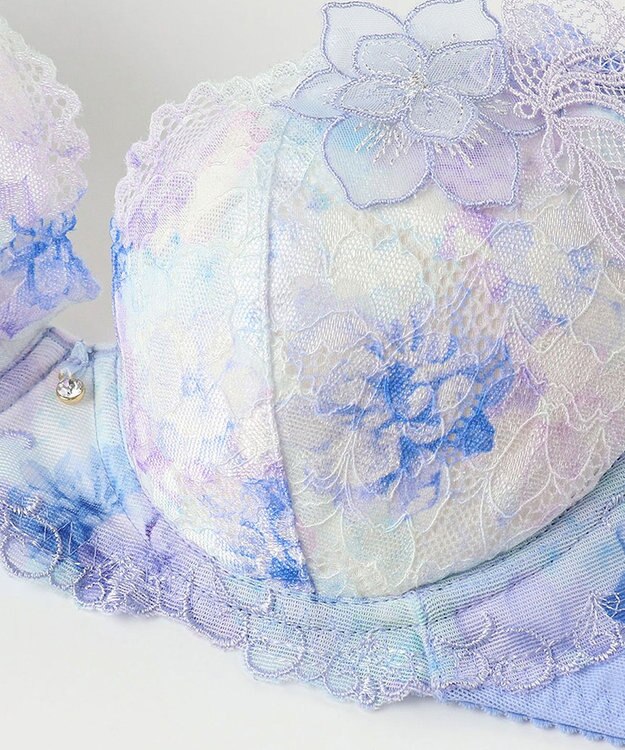 Wing ブラジャー Wing Lesiage サイドすっきり しっかりフィット 【2900シリーズ】 ブラ PB2900 ウイング／ワコール ブルー