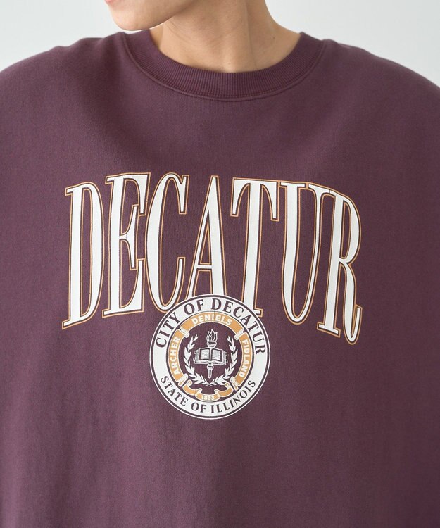 AMERICAN HOLIC カレッジロゴクラックプリント裏毛プルオーバー Brown