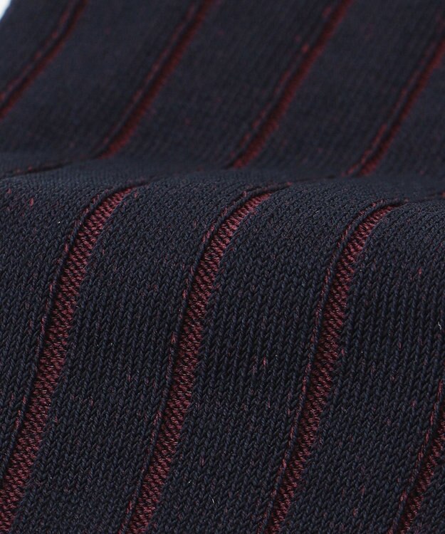 J.PRESS MEN 【定番】ハイゲージワイドストライプ リブソックス ネイビー系