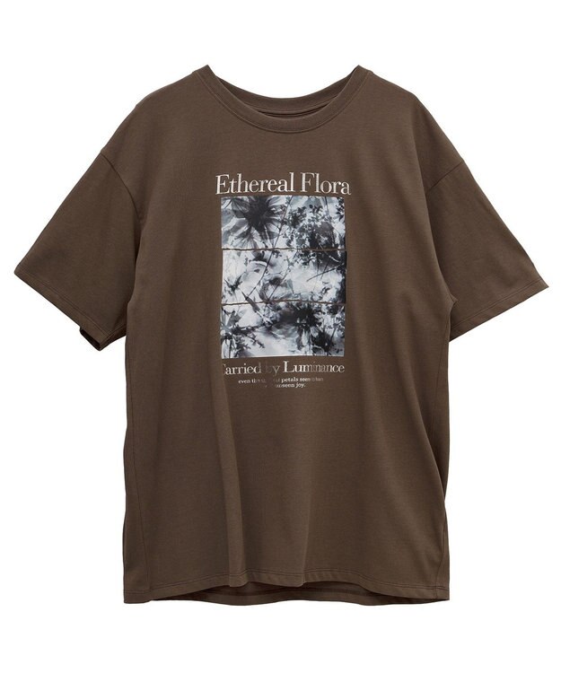 Green Parks フォトグラフィック半袖Ｔシャツ Brown