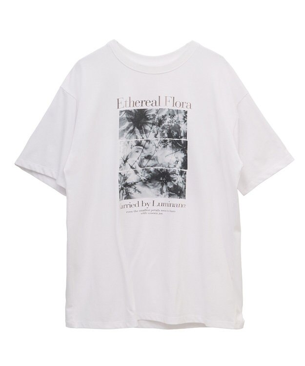 Green Parks フォトグラフィック半袖Ｔシャツ Brown