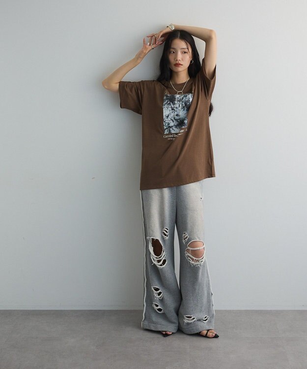 Green Parks フォトグラフィック半袖Ｔシャツ Brown