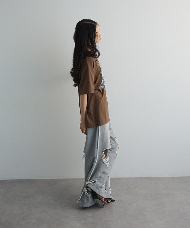 Green Parks フォトグラフィック半袖Ｔシャツ Brown