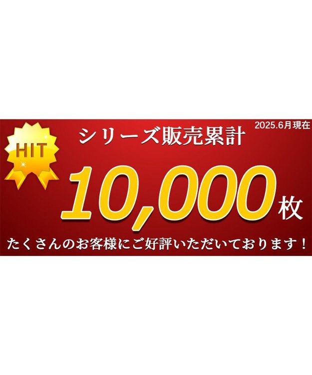 PET PARADISE スヌーピー クール ロールマット 《サーフ柄》 Ｍ ブルー系