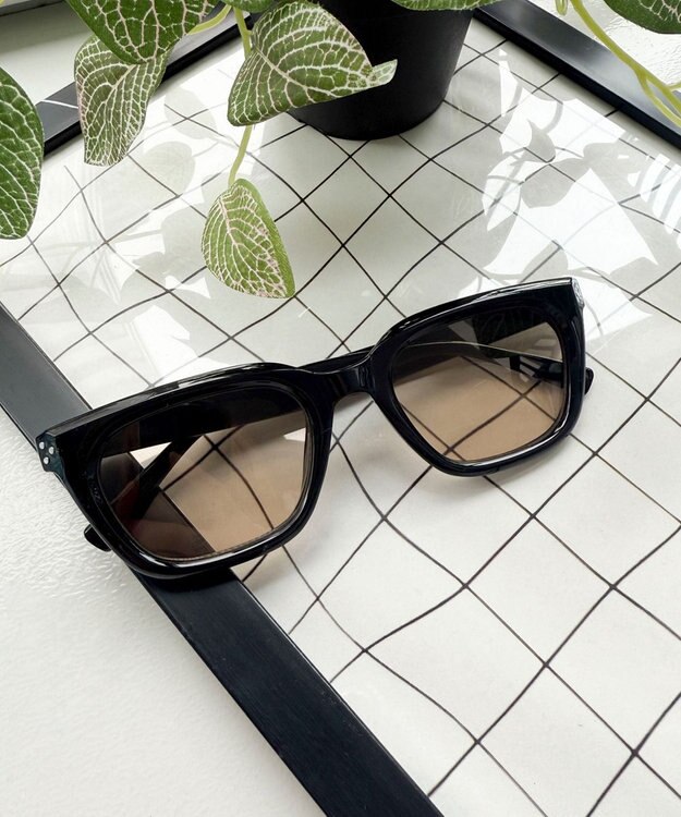 WEGO 【ユニセックス着用ITEM】カラーレンズウェリントン ブラウン