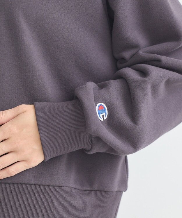 earth music&ecology チャンピオン　ｅｍａｅハーフジップ裏毛プルオーハ Charcoal Gray