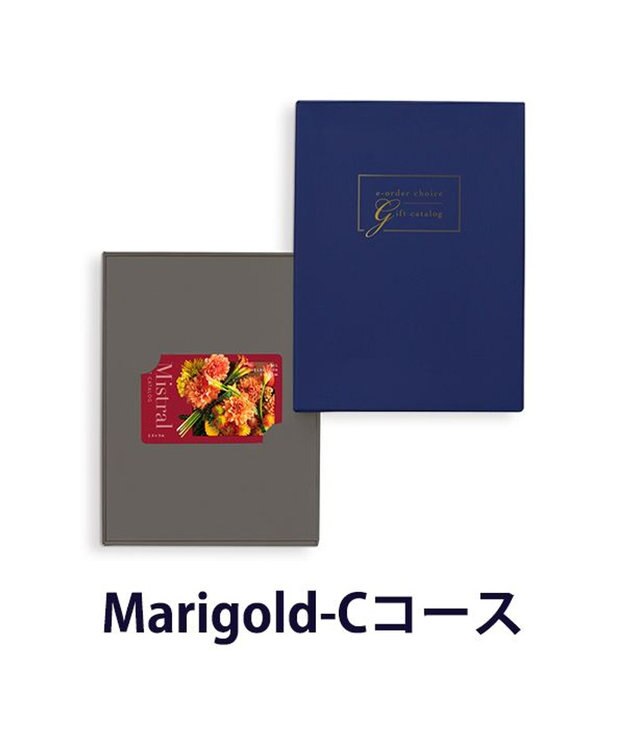 antina gift studio Mistral(ミストラル) e-order choice(カードカタログ) ＜Marigold(マリーゴールド)＞ -