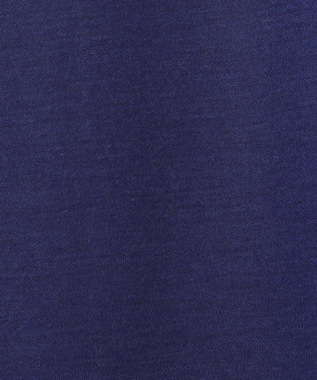 J.PRESS LADIES S 【洗える】ウールスムース スカート ブルー系