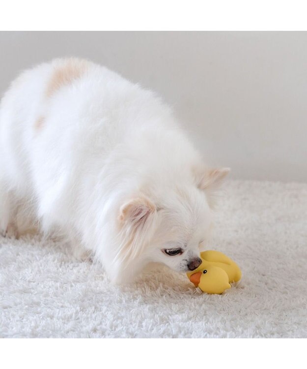 PET PARADISE ペットパラダイス あひる ラテックス トイ イエロー