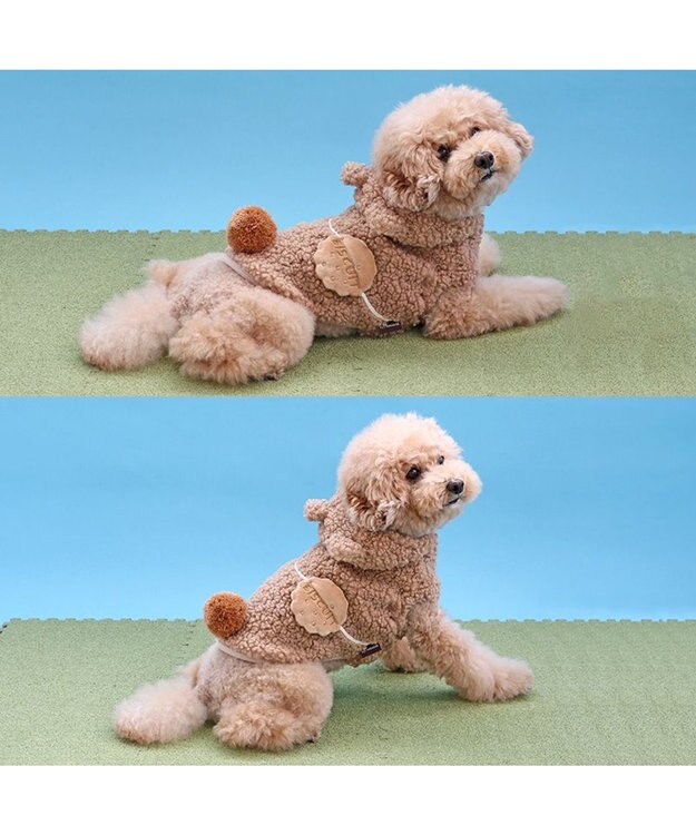 PET PARADISE ペットパラダイス なりきりくま 小型犬 ブラウン
