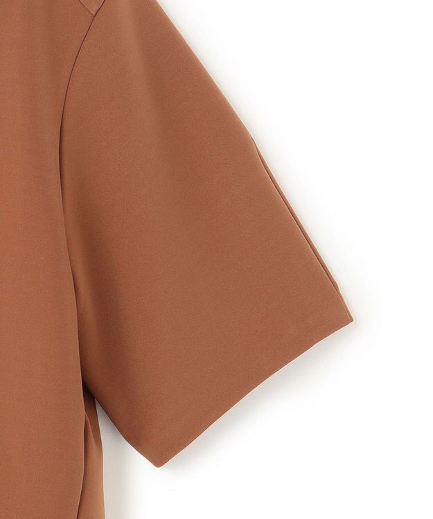 BEIGE， 【洗える】ALTHEA / ダンボールジャージーバックスリットブラウス Brown