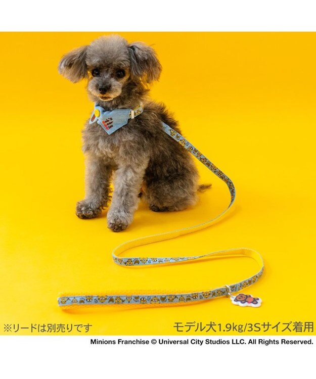 PET PARADISE ミニオン デニム襟付き首輪 ３Ｓ ブルー
