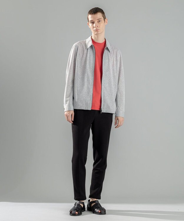 JOSEPH HOMME 新素材【洗える/通気性】ヨシタレース　ジップアップブルゾン ライトグレー系