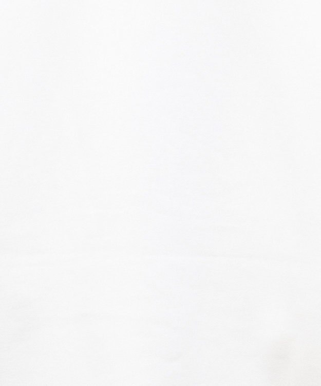 Green Parks 裏起毛発泡ロゴプルオーバー Off White