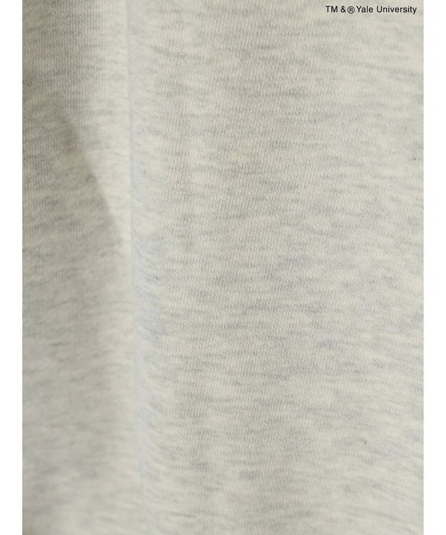 AMERICAN HOLIC ＴＭ＆ＲＹａｌｅ　Ｕｎｉｖｅｒｓｉｔｙ　スウェットパーカー Oatmeal