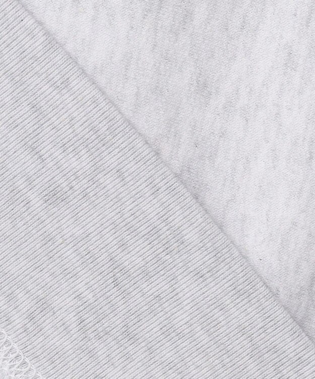 ANY カレッジコラボトレーナー トップグレー×ネイビー刺繍(HARVARD)