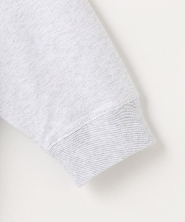 ANY カレッジコラボトレーナー トップグレー×ネイビー刺繍(HARVARD)